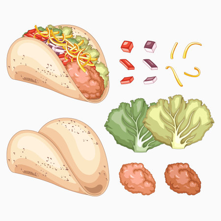 Vector illustration of fast food. Doner kebab, shawarma, lettuce, meatballs.のイラスト素材