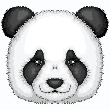 Illustration of a panda bear head on a white background.のイラスト素材