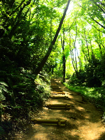 Mountain road 2の写真素材