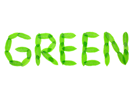 Word GREEN made out of real leaves. Isolated on white background.の写真素材