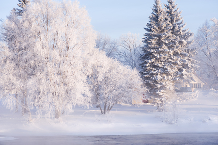 River flowing through winter landscape. Trees covered with frost.の写真素材