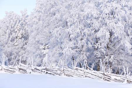 Winter landscape with snow and frost covered fence and trees.の写真素材