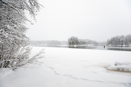 Winter landscape along snow covered riverbank in Finland.の写真素材