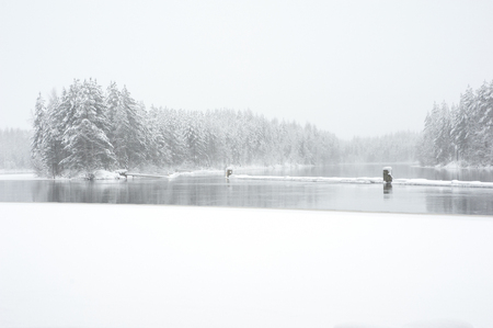 River Pielisjoki flowing through winter landscapeの写真素材