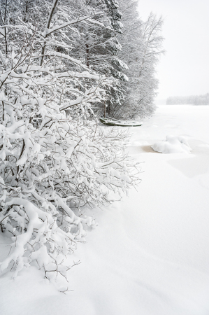 Winter landscape along snow covered riverbank in Finland.の写真素材