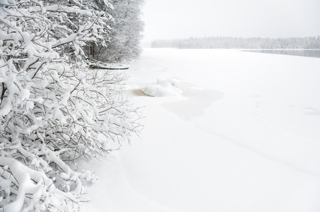 Winter landscape along snow covered riverbank in Finland.の写真素材