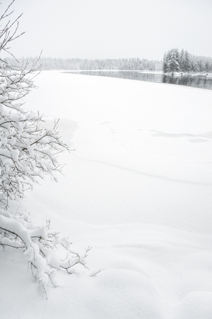 Winter landscape along snow covered riverbank in Finland.の写真素材