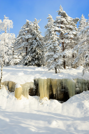 Icicles hanging from a rock cliff. Snowy landscape in Koli National park, Finlandの写真素材
