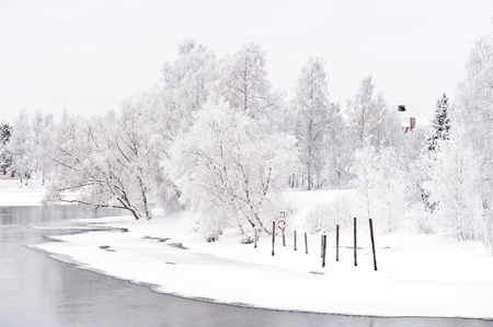 Winter scenery with snow covered trees on riverbank.の写真素材