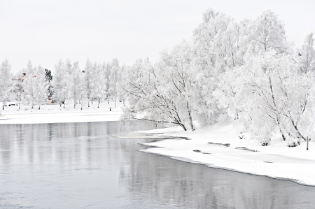 Winter scenery with frost covered trees on riverbank.の写真素材
