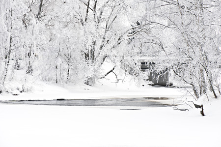 Winter scenery with frost covered trees on riverbank.の写真素材