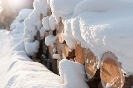 Snow covered log pileの写真素材