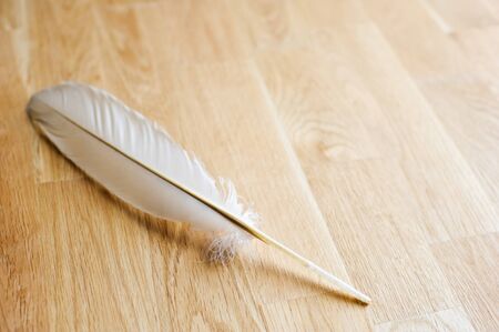 White bird feather on wooden table. Selective focus and shallow depth of field.の写真素材