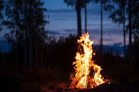 Burning campfire on a dark night in a forestの写真素材