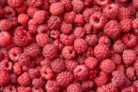 Red ripe raspberries as a background