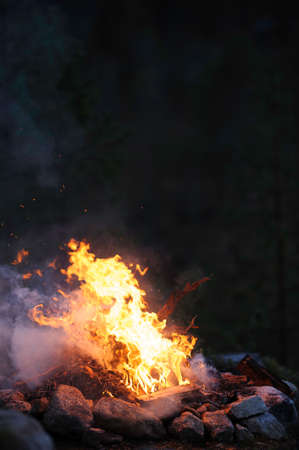 Burning campfire on a dark night