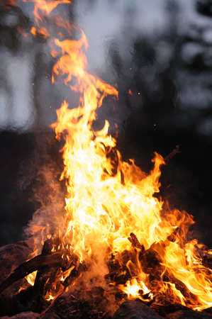 Burning campfire on a dark night