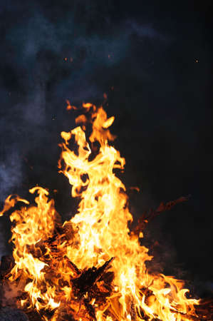 Burning campfire on a dark night