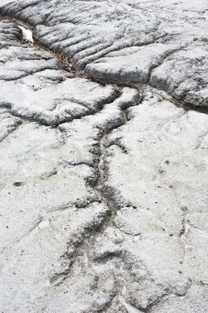 Water carved channels through the soil.
