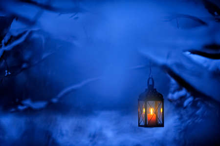 Candle lantern hanging from tree branch.