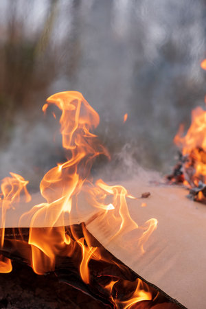 Pile of burning cardboard and waste paperの写真素材