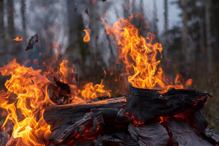 Burning pile of cardboard and waste paperの写真素材