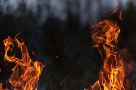 Fire flames, burning pile of cardboard and waste paper