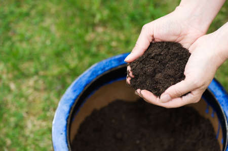 Hands cupped holding mulch and filling flower pot.