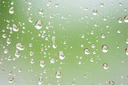 Raindrops on window with green foliage background.