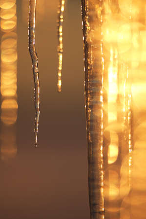 Icicles illuminated by the arctic setting sun