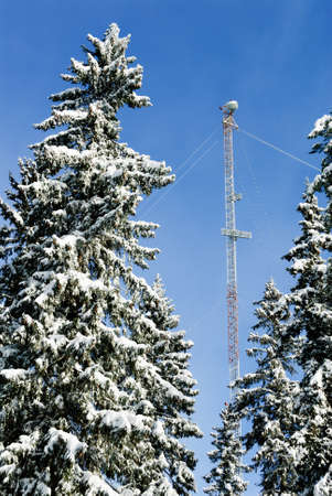 Communication tower and snowy treesの写真素材