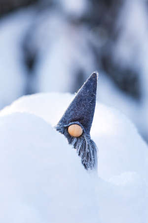 Cute grey bearded gnome in fresh snow against blurred winter forest spruce treeの写真素材