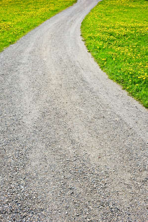 Winding dirt road through field of dandelions. Focus on foreground.の写真素材