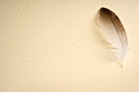 Old paper with feather.の写真素材