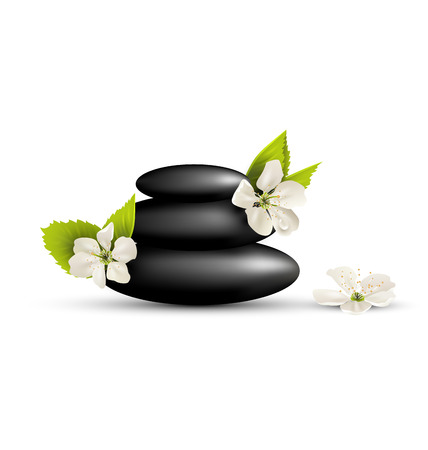 Stack of spa stones with cherry white flowers isolated on white backgroundのイラスト素材
