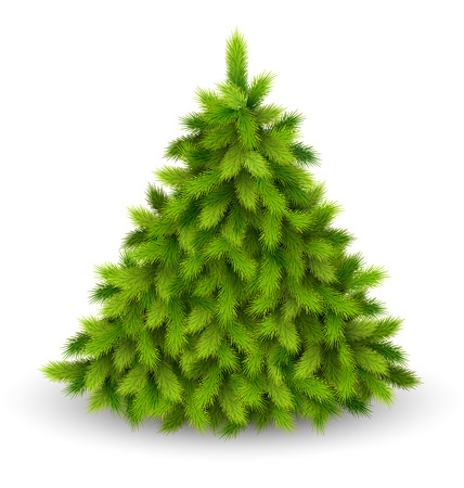 Christmas Tree Pine Isolated on White Backgroundのイラスト素材
