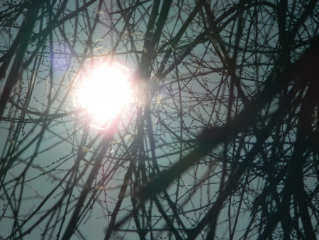 City Morning の写真素材