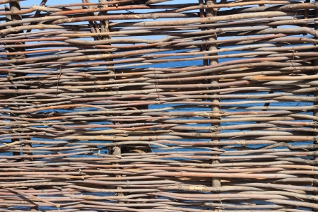 fence of twigs in the backgroundの写真素材