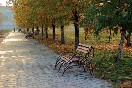 bench in the parkの写真素材