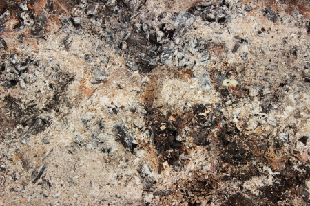  ash in the backgroundの写真素材