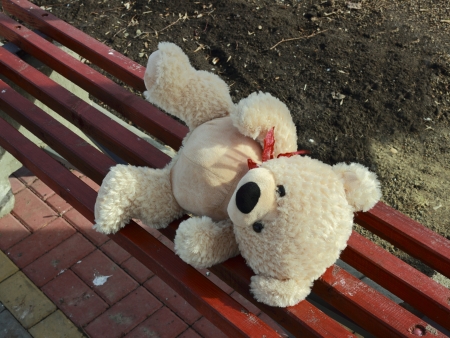 forgot bearの写真素材