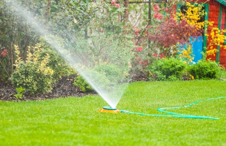Water sprinkler - Irrigation system - technique of watering in the garden  Lawn sprinkler spraying water over green grass in the gardenの写真素材