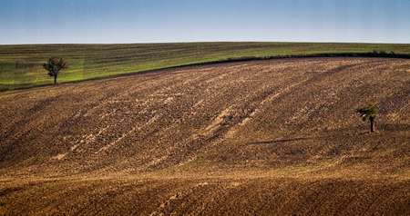 Moravian Fields - an area called the Moravian Tuscany, Czech republic, Europe