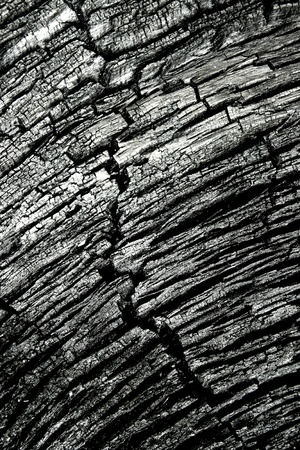 burn wood look crack の写真素材