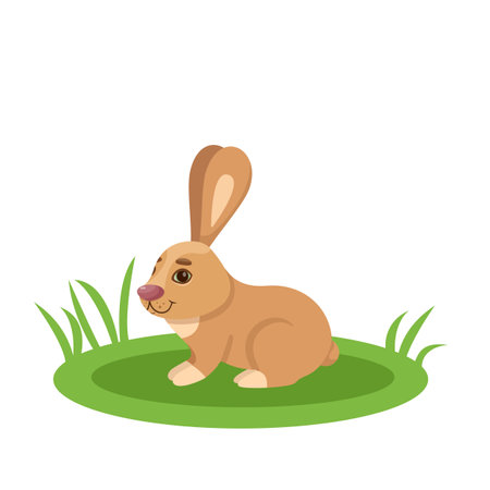 rabbit design print. Easter Bunny. rabbit in the grass. Cute rabbit on a white background. vector in flat style.のイラスト素材
