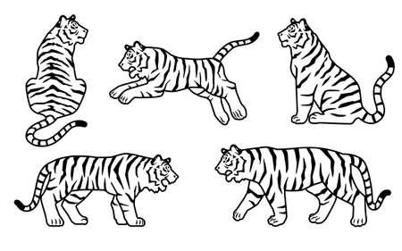 Tiger Movement Silhouette Or Line Drawing Illustration Setのイラスト素材