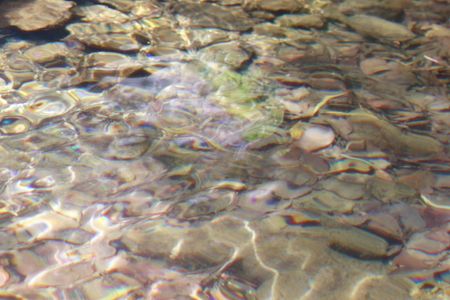Water surfaceの写真素材