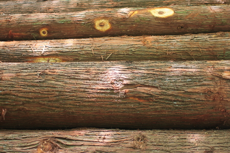 logの写真素材