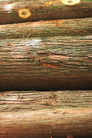 logの写真素材
