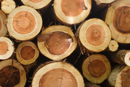 logの写真素材